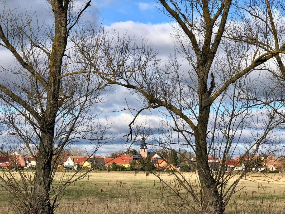 Landgasthof Zum Ring Ringleben ภายนอก รูปภาพ